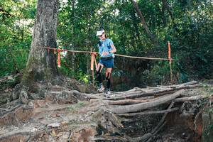 BIB: 
                            <button type="button" onclick="openModal(27303580)" class="btn btn-primary btn-sm float-right btn-popup" data-toggle="modal" data-target=".modal-high-quality">
                        <i class="fas fa-shopping-cart"></i> Add to Cart
                    </button>
                                            <button type="button" onclick="isThisMe(27303580, true)" class="btn btn-success btn-sm float-right btn-popup btn-isme hidden" data-toggle="tooltip" data-placement="bottom" title="นี่คือรูปของคุณใช่ไหม คลิกที่นี่เพื่อเอาเข้าอัลบั้ม">
                        <i class="fas fa-plus"></i> Add to album
                    </button>
                    <button type="button" onclick="isThisMe(27303580, false)" class="btn btn-warning btn-sm float-right btn-popup btn-isnotme hidden">
                        <i class="fas fa-ban"></i> Remove from album
                    </button>